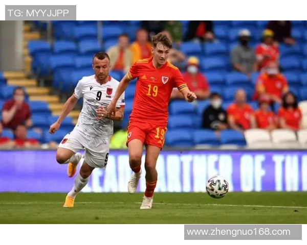 兔年足球风云：明星球员们的崛起与挑战